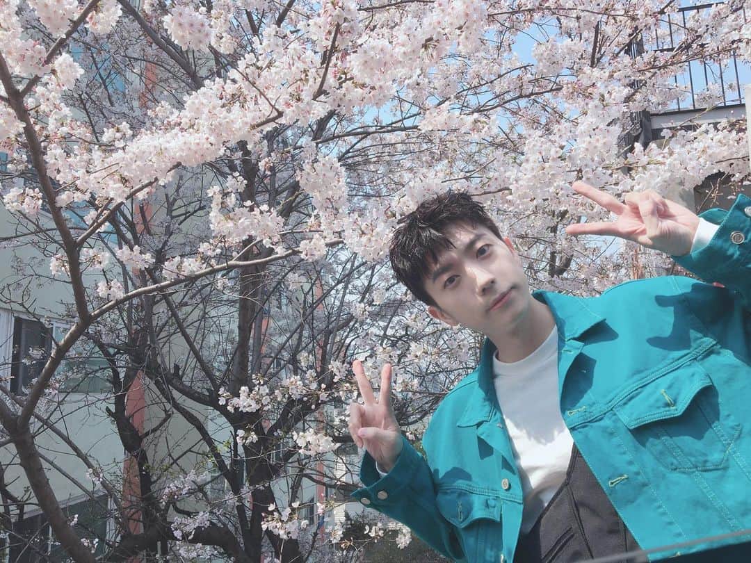 2PMさんのインスタグラム写真 - (2PMInstagram)「오늘은 꽃사진만🌸  #어느게꽃이지 #430시간동안찾는중 #로즈데이기념🌹 #레투스타그램」5月14日 18時24分 - real_2pmstagram