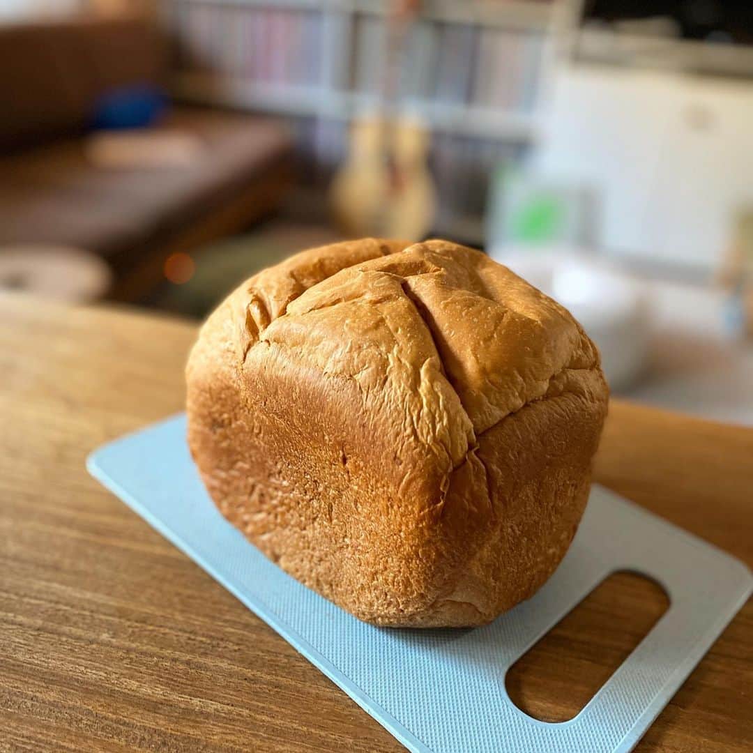 山田稔明さんのインスタグラム写真 - (山田稔明Instagram)「久々にパンを焼く。おれのブリオッシュ。 #ymdパン」5月14日 18時51分 - toshiakiyamada