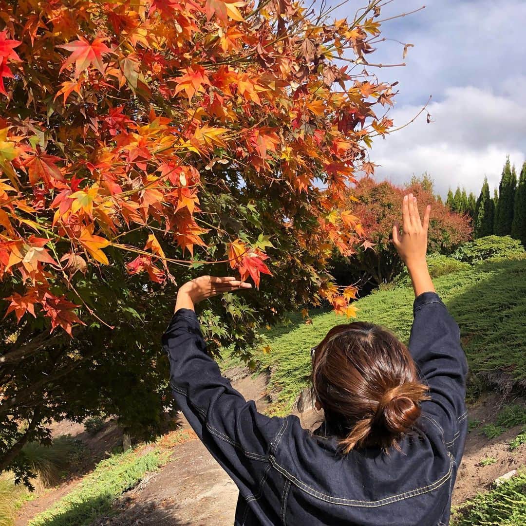 徳永千奈美さんのインスタグラム写真 - (徳永千奈美Instagram)「True autumn colors 🍁🍂 NZは今日からレベル3から2に下がりました。 街中のお店もオープンしはじめて、少し明るい雰囲気に！でもまだまだ油断できないし、みんなで頑張りましょう！  お家の近くの公園にお散歩に行ってきました！ すっかり秋色に🥰  #nz #newzealand  #autumn  #autumnleaves #autumncolors  #紅葉 #秋 #おなかすいた」5月14日 18時59分 - chinami.tokunaga