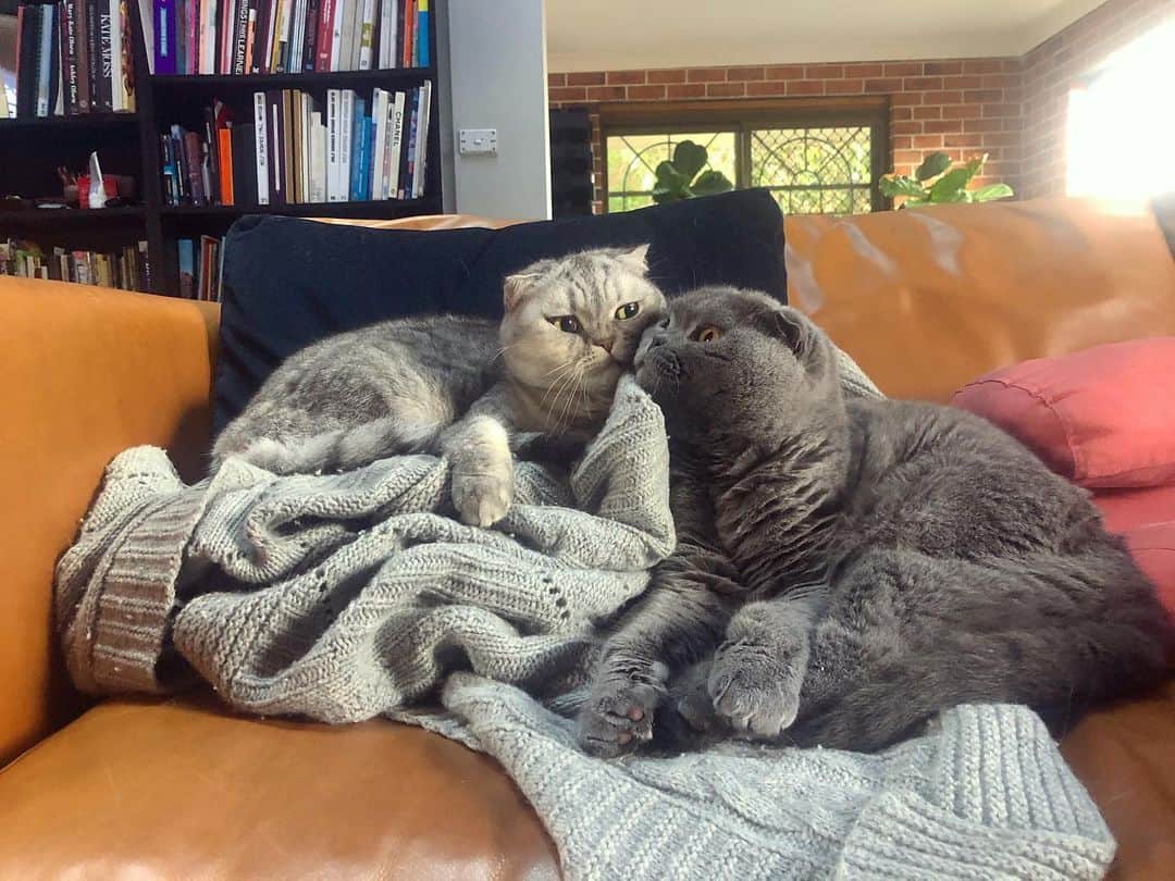のインスタグラム：「Me & you. 😽💗😽 #friendship #together #besties」