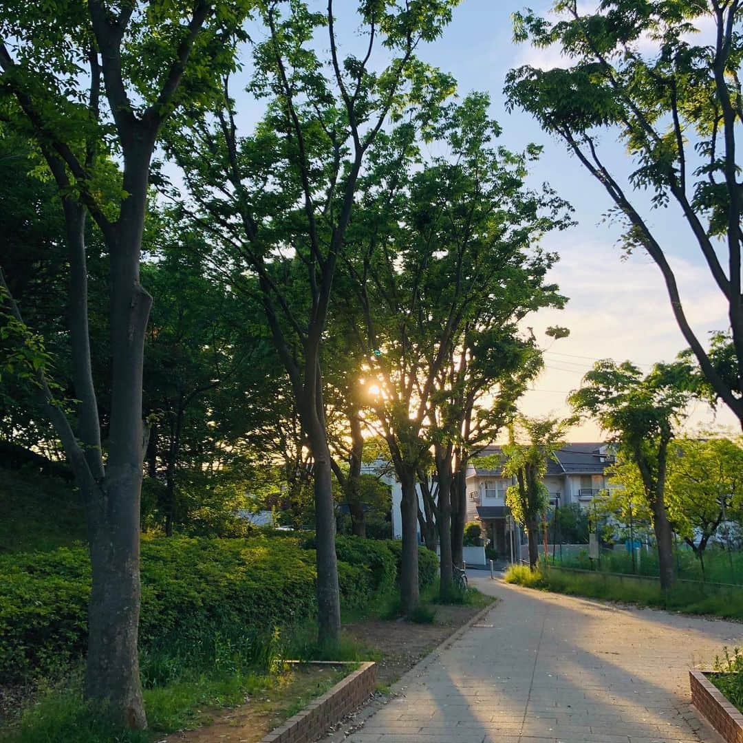 原日出子さんのインスタグラム写真 - (原日出子Instagram)「今日のウォーキング🚶‍♂️ みんな お疲れモードだったので 夕方 ひとりで歩きました😊 なので 鴨さん撮り放題w 風が心地よく とても気持ちよかった💖 今日は ひとりでも頑張って 睡蓮の池の公園まで歩きましたよ〜〜✨ 9.5キロ 13172歩👍 今日も元気に歩きました😊  #ウォーキング #体力作り #fitness #緑道 #鴨さん #おうちじかん #コロナに負けるな #毎日を楽しく #歩きましょう #女優」5月14日 19時41分 - hara_hideko