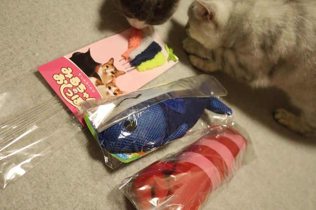 あやみ旬果さんのインスタグラム写真 - (あやみ旬果Instagram)「Amazon、事務所から 届きました^ - ^❤️🐈✨🙏🎁🎀🎁😭」5月14日 19時37分 - ayami_syunnka0815