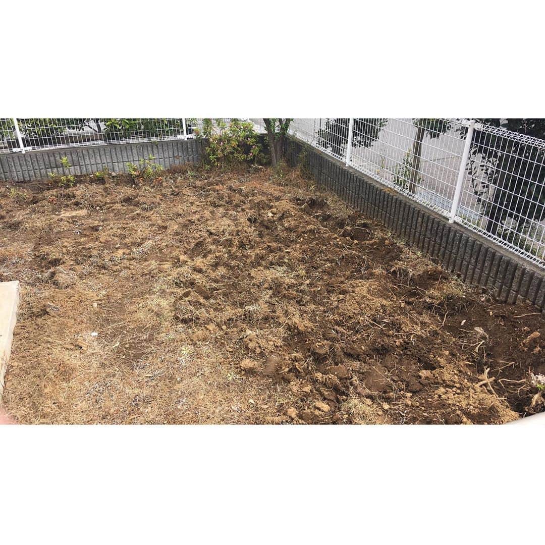 藤嶋栄介さんのインスタグラム写真 - (藤嶋栄介Instagram)「最初の写真から約1ヶ月。 長かったお庭DIYも今日で終了しました。 途中何度心が折れかけたか。 やりきりました。 バンビも大喜びの庭が完成しました！  写真をスライドして最後まで見てね☀️！ #diy #1ヶ月 #人工芝 #庭改造 #自宅ドッグラン #自粛期間」5月14日 19時53分 - e.fujishima_official