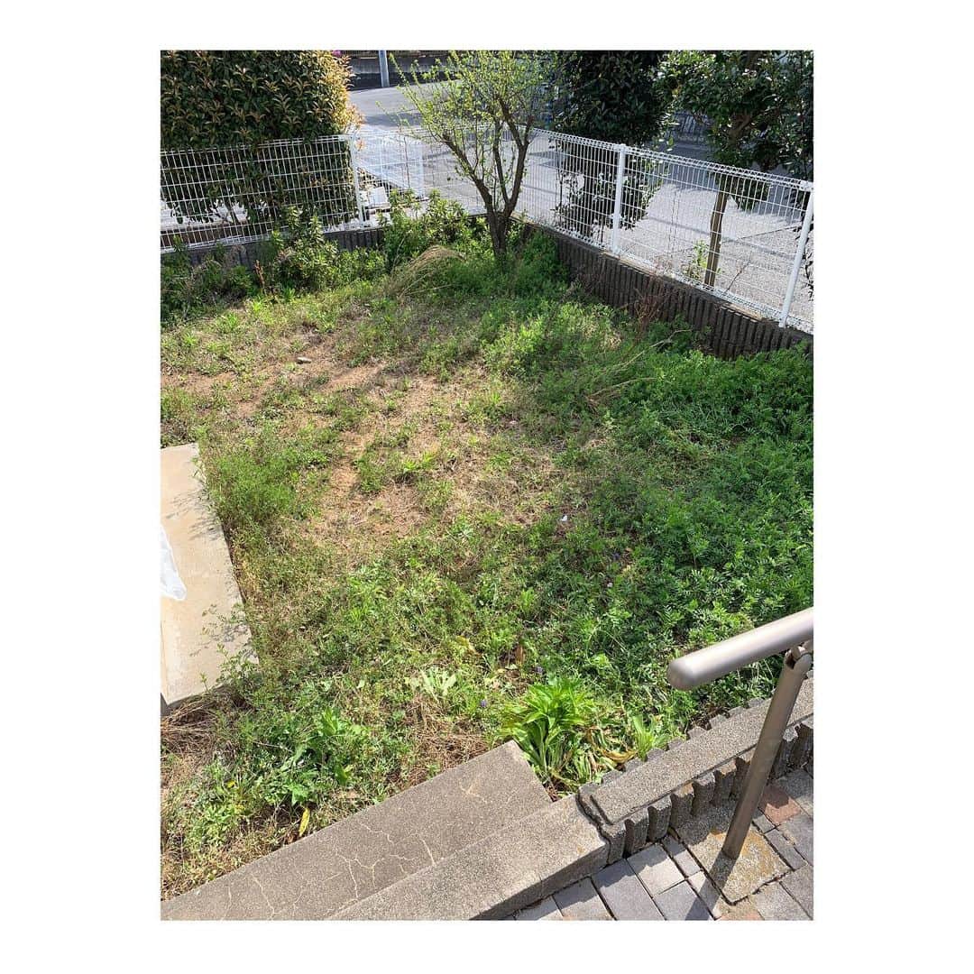 のインスタグラム：「最初の写真から約1ヶ月。 長かったお庭DIYも今日で終了しました。 途中何度心が折れかけたか。 やりきりました。 バンビも大喜びの庭が完成しました！  写真をスライドして最後まで見てね☀️！ #diy #1ヶ月 #人工芝 #庭改造 #自宅ドッグラン #自粛期間」