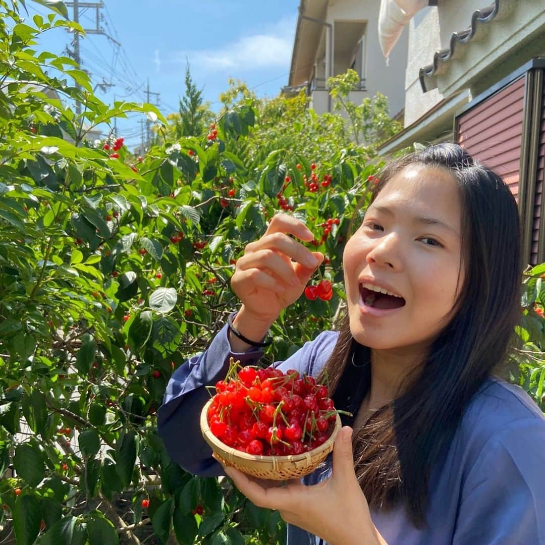 尾崎里紗さんのインスタグラム写真 - (尾崎里紗Instagram)「家でさくらんぼ狩りしました🍒﻿ 今年もたくさん収穫(^^)﻿ ﻿ 残りのさくらんぼは野鳥さんに🍴﻿ ﻿ ﻿ ﻿ ﻿ ﻿ ﻿ #glico ﻿ #powerproduction ﻿ #head ﻿ #headtennis_official﻿ #teamhead ﻿ #asicstennis﻿ #teamasics ﻿ #imoveme﻿ #onitsukatiger ﻿ #株式会社タイド ﻿ #TIDE. ﻿ #gram3 ﻿ #グラムスリー ﻿ #tbc_aesthetic ﻿ #エステ ﻿ #エステティックtbc ﻿ #尾崎里紗 ﻿ #risaozaki ﻿ #tennis ﻿ #tennisplayer ﻿ #テニス ﻿ #fitness ﻿ #フィットネス﻿」5月14日 20時05分 - risaozaki410