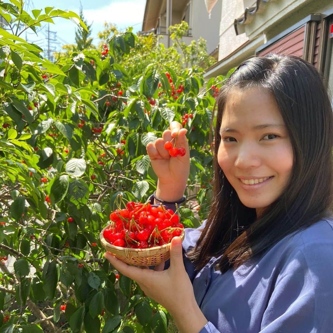 尾崎里紗さんのインスタグラム写真 - (尾崎里紗Instagram)「家でさくらんぼ狩りしました🍒﻿ 今年もたくさん収穫(^^)﻿ ﻿ 残りのさくらんぼは野鳥さんに🍴﻿ ﻿ ﻿ ﻿ ﻿ ﻿ ﻿ #glico ﻿ #powerproduction ﻿ #head ﻿ #headtennis_official﻿ #teamhead ﻿ #asicstennis﻿ #teamasics ﻿ #imoveme﻿ #onitsukatiger ﻿ #株式会社タイド ﻿ #TIDE. ﻿ #gram3 ﻿ #グラムスリー ﻿ #tbc_aesthetic ﻿ #エステ ﻿ #エステティックtbc ﻿ #尾崎里紗 ﻿ #risaozaki ﻿ #tennis ﻿ #tennisplayer ﻿ #テニス ﻿ #fitness ﻿ #フィットネス﻿」5月14日 20時05分 - risaozaki410