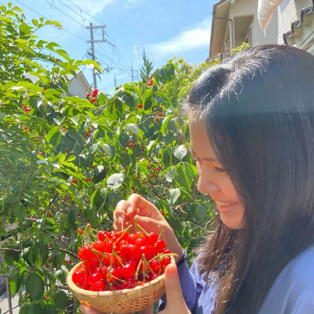 尾崎里紗さんのインスタグラム写真 - (尾崎里紗Instagram)「家でさくらんぼ狩りしました🍒﻿ 今年もたくさん収穫(^^)﻿ ﻿ 残りのさくらんぼは野鳥さんに🍴﻿ ﻿ ﻿ ﻿ ﻿ ﻿ ﻿ #glico ﻿ #powerproduction ﻿ #head ﻿ #headtennis_official﻿ #teamhead ﻿ #asicstennis﻿ #teamasics ﻿ #imoveme﻿ #onitsukatiger ﻿ #株式会社タイド ﻿ #TIDE. ﻿ #gram3 ﻿ #グラムスリー ﻿ #tbc_aesthetic ﻿ #エステ ﻿ #エステティックtbc ﻿ #尾崎里紗 ﻿ #risaozaki ﻿ #tennis ﻿ #tennisplayer ﻿ #テニス ﻿ #fitness ﻿ #フィットネス﻿」5月14日 20時05分 - risaozaki410