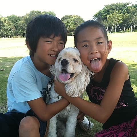前田俊さんのインスタグラム写真 - (前田俊Instagram)「幸せたくさんありがとう😭　#愛犬」5月14日 20時01分 - maeda__shun