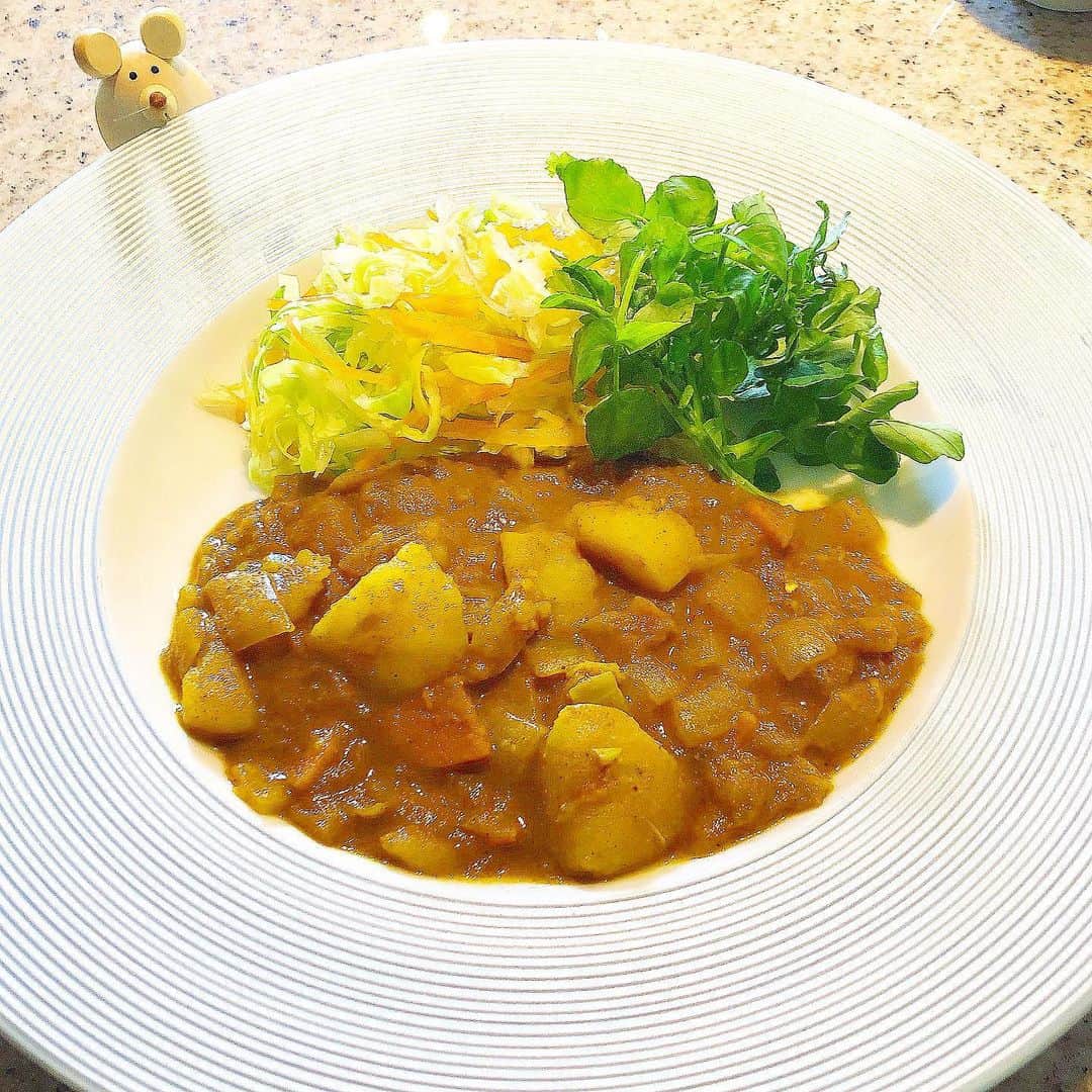 榊山敬代のインスタグラム：「🍛🧅🥔🥕🥬🌱… ・ 今週からマイブームランチは なんとカレーランチ再来の巻  以前は麺とコラボレーション がマイブームでしたけれども  カレーライスはごはんが どうも眠くなる様子にて  カレー野菜というキャベツなどで ライスに変えた新たなカレーさん  ヘルシーにおいしくてマイブームの巻  このスタイルにいきつきましたのも  以前に毎週通っていました インドの方が経営されてる 本格的なカレー屋さんにて  ランチ時間を過ぎて行きました時 お店の方が丁度昼食をされていて カレーに付け合わせのキャベツを  カレーに少しずつスプーンとフォークで 和えながらいただいているのを見かけて  おもしろい食べ方だなぁと試してみたところ 辛いカレーが丁度よい口あたりになりまして  最近あらためて思い出して 再現してみてるわけでした  そのようなわけで  しばらくカレーランチ　 キャベツさんとともに リピートしそうな来週 ・ ・ ・ #おうち時間 たのしもう週間 #おうち大好き #stayhome ・ ・ #おうちランチ  #food #vegetable #cabbage #carrot #potato #cresson #キャベツ #にんじん #タマネギ #onion #じゃがいも #ランチ #lunch #indianfood #india #spice #curry #カレーランチ #野菜カレー #🍛 #ナマステ  #artist #cooking  #日本画家 の#お料理こんなもん  #コロナウイルスが早く終息しますように」
