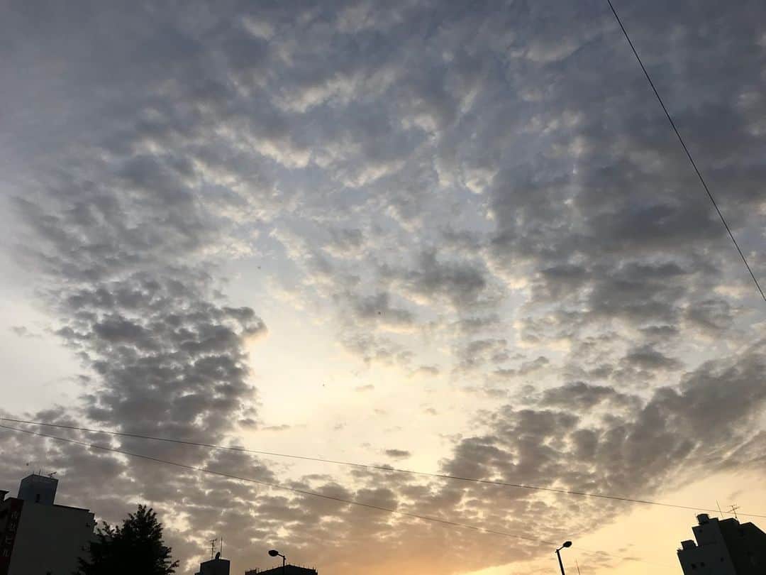 のインスタグラム：「夕陽☺︎ #夕陽 #今日も #ありがとう」