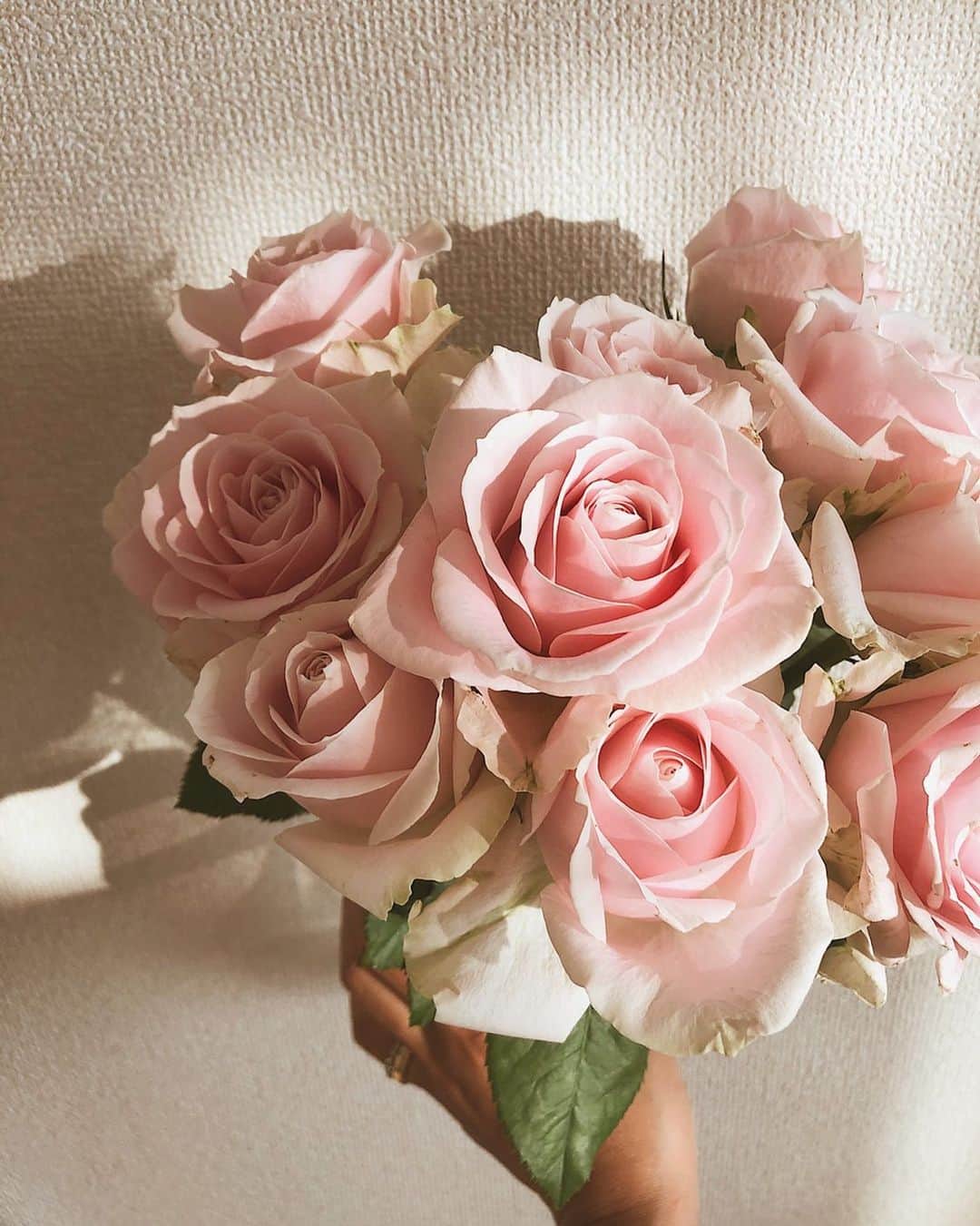 酒匂彩名さんのインスタグラム写真 - (酒匂彩名Instagram)「: 久しぶりに薔薇を買いました🌹 薄ピンクの可愛い子☺️ : #薔薇　#ピンクの薔薇　 #花束　#ピンク　#花のある暮らし #癒される　#可愛い　 #Rose #🌹」5月14日 20時53分 - ayanasakoh