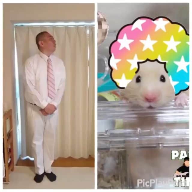 松本康太のインスタグラム