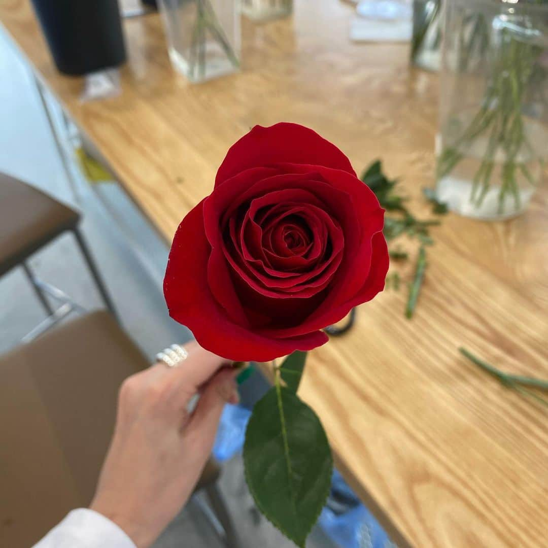 ジュヨン さんのインスタグラム写真 - (ジュヨン Instagram)「roseday」5月14日 21時49分 - jupppal