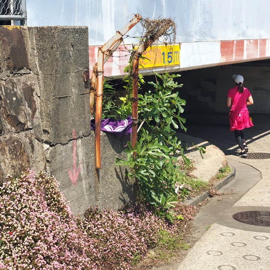 岡田育さんのインスタグラム写真 - (岡田育Instagram)「1.5m = 4’11” #tunnel #takanawa #takanawagatewaystation #高輪ゲートウェイ駅 #高輪橋架道橋 #おばけトンネル」5月15日 7時40分 - okadaic