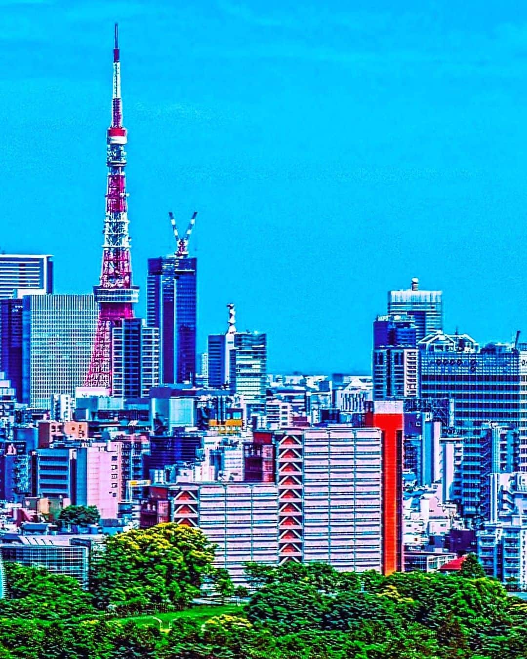 松浦勝人さんのインスタグラム写真 - (松浦勝人Instagram)「avex本社から見た東京タワー。 なんだわりとよく見えるんだな、と感心したww #東京タワー #tokyotower  #tokyo #maxmatsuura #masatomatsuura #南青山 #avex」5月15日 7時42分 - max_matsuura