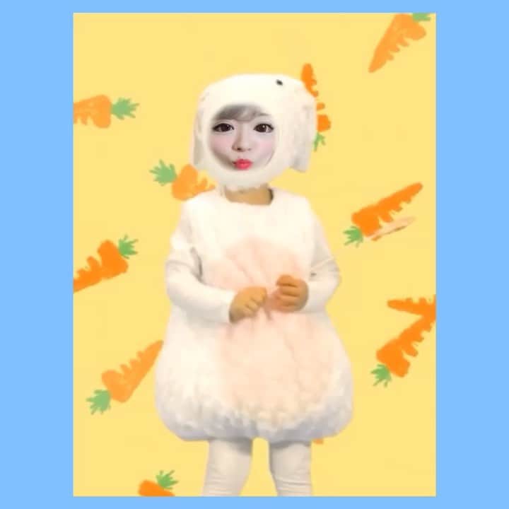 金子きょんちぃ