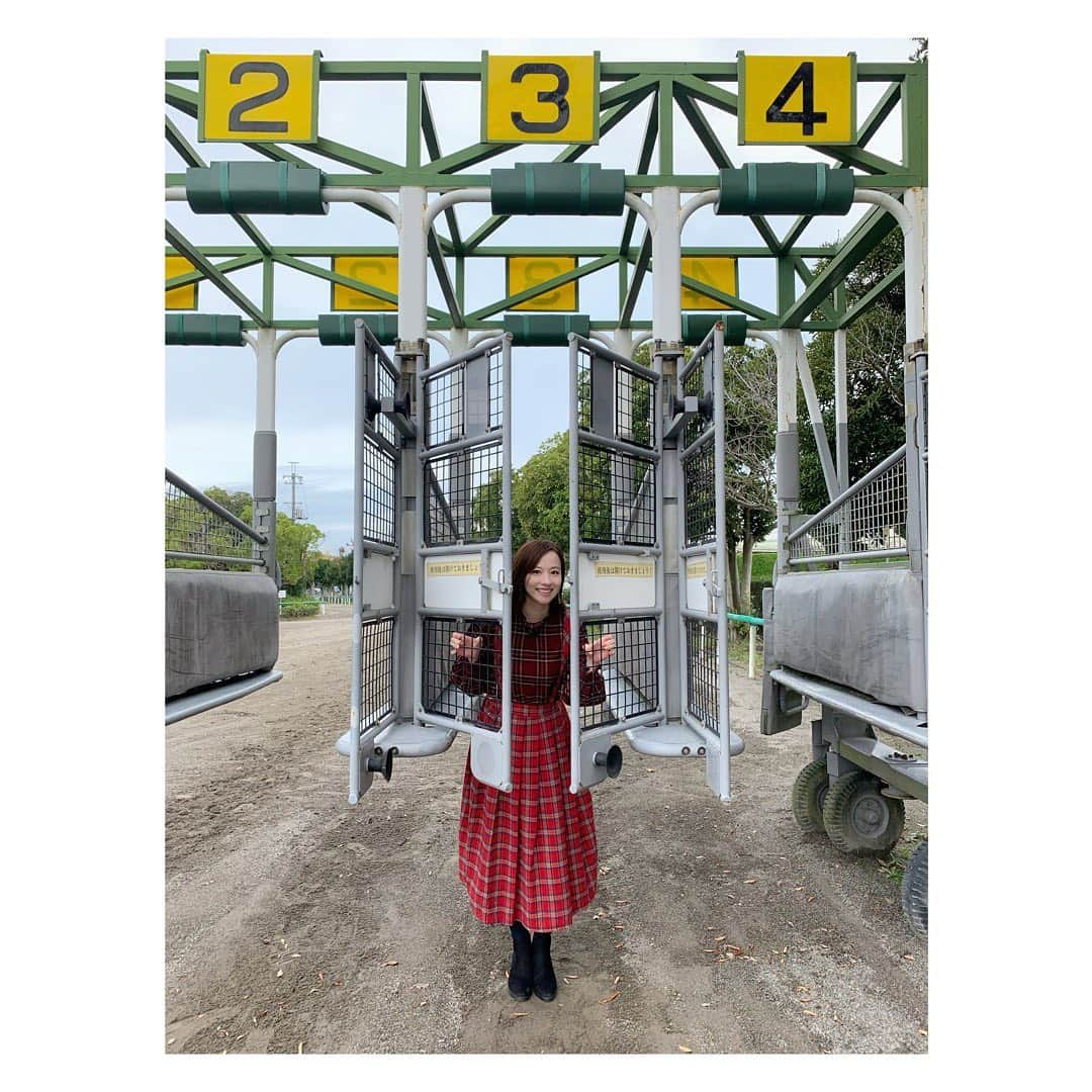 宮島咲良さんのインスタグラム写真 - (宮島咲良Instagram)「ㅤㅤㅤㅤㅤㅤㅤㅤㅤㅤㅤㅤㅤ ゲートからこんにちは☺️ ㅤㅤㅤㅤㅤㅤㅤㅤㅤㅤㅤㅤㅤ #美浦トレセン #美浦トレーニングセンター #競馬 #🏇 #宮島咲良 #ミヤジマン #ぼっち戦隊ミヤジマン」5月15日 1時01分 - sakura_miyajiman