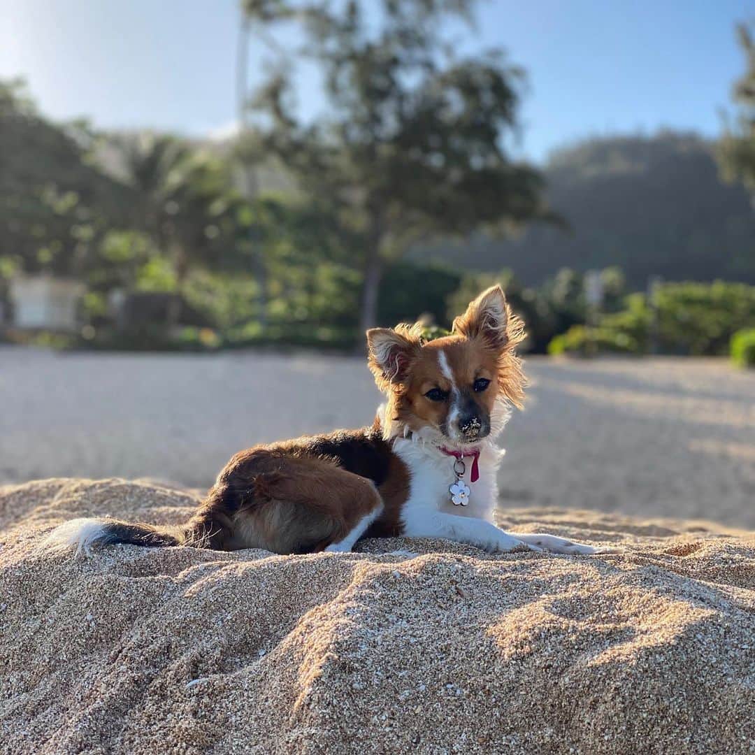 カリッサ・ムーアのインスタグラム：「I took Maya for some modeling lessons, then scheduled a one on one photography session with the world renowned @peterkingphoto ... This what we got ⭐️ haha 💛」