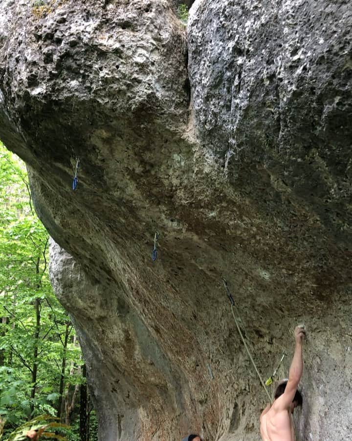 ヤン・ホイヤーのインスタグラム：「„Pain makes me stronger, every day!“ 8c+, I haven’t been in the Frankenjura much since I did Action Directe almost 10 years ago. Thanks to the lockdown I came back and have some newfound appreciation for this place where I spent so much time as a teenager. The route above is NOT one of the reasons I love this place. But I tried it as a kid and it felt great to come back after a decade of climbing and put this old project to rest in a short session. @madrockclimbing  @mammut_swiss1862」