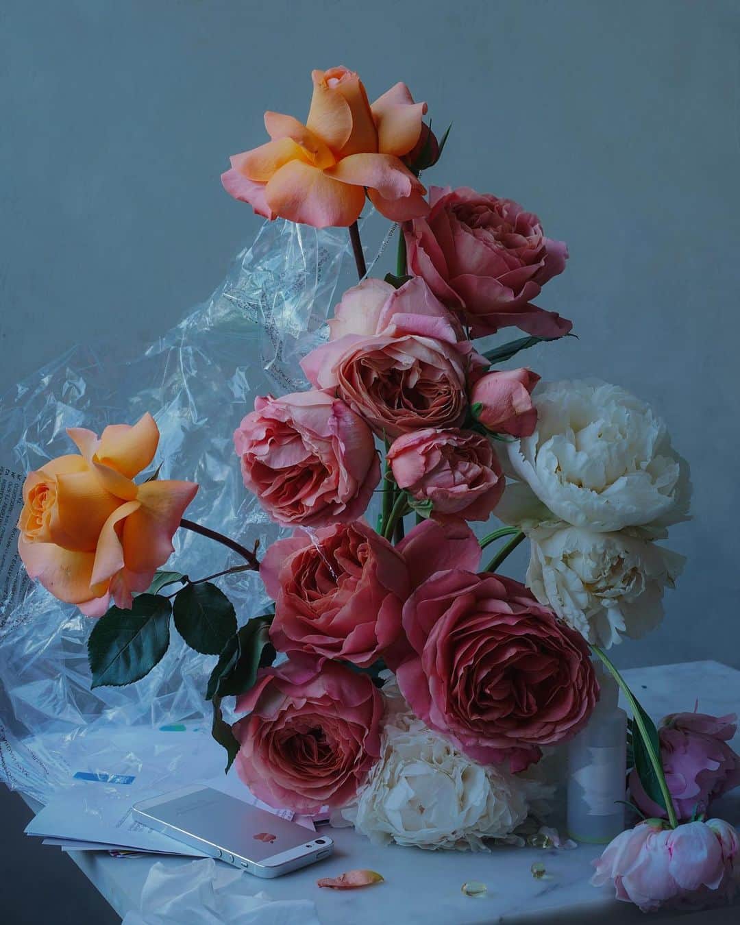 アイアラ・エルナンドのインスタグラム：「Alive Still, 2020.  This is a second in a series of still life centric works created in collaboration by @wheresaddie and myself. Alive Still, is a new series which feeds off their original 2016 series "Still Alive" which conceputalized the golden age still life genre from a contemporary perspective. In the 2020 series, the duo seeks to refine the notion and value of time as distances collapse- spending often weeks and weeks alone together. The contemporary works speak to further defining the artifacts of modern coping mechanisms by incorporating them into the forefronts. While the works reference the prior series, they explore the now, the understanding that the past is not a finished story but an ongoing state, a part of continual being.」