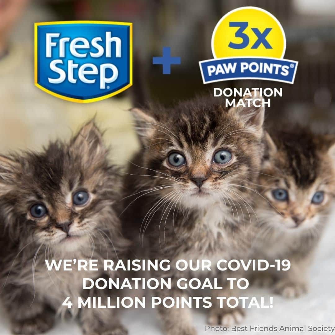 Fresh Stepのインスタグラム：「💗Thanks to you, together we've reached our original 2 million points donation goal in record time! So we're raising our COVID-19 donation goal to a total of 4 million points! We will continue to 3X your donation (up to 2MM additional points) until 6/30 or until goal is reached. Spread the word, spread the love.✨Donate now via link in bio! *Open to legal residents of the 50 U.S. (including D.C.), 18 years old or older. Donate points from 4/20/20 – 6/30/20. For Paw Points Terms, visit freshstep.com」