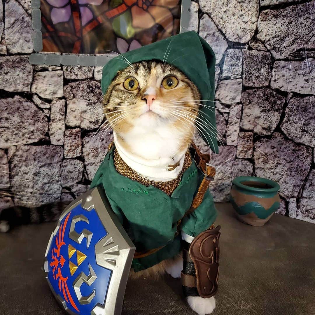 猫コスプレさんのインスタグラム写真 - (猫コスプレInstagram)「"Plz fill bottles wit milk. I haz rupees." #LegendOfZelda . . . . . . . #link #linkcosplay #loz #lozfanart #lozcosplay #legendofzeldacosplay #legendofzeldatwilightprincess #twilightprincess #cat #catcostume #catsinclothes #catcosplay #cosplay #cosplayer #catsofinstagram #aww #pics #catpics #torbie #nintendo #nintendocosplay」5月15日 5時54分 - cat_cosplay