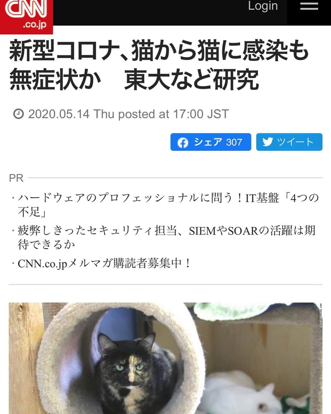 すみれのインスタグラム：「（ＣＮＮ） 新型コロナウイルスは猫から猫に感染しうるが、症状は全く出ない可能性がある――。そんな研究結果が米医学誌ニューイングランド・ジャーナル・オブ・メディシンに１３日発表された。 ネコ科動物が新型コロナに感染する可能性を指摘する研究はこのところ増えており、今回の研究結果はそこに新たな知見を加えた形だ。ただし専門家によれば、ネコ科の動物が感染を拡大させているとの証拠はない。 今回の研究では、猫３匹を新型コロナに感染させた結果、３匹とも３日後にウイルスを排出していることが判明。感染した猫を健康な猫と同居させたところ、健康な猫でもウイルスが増殖した。  過払い金があってもなくても0円！完済した方でも平均100万円が戻る!? Sponsored  研究対象となった猫はいずれも、体温の異常や大幅な体重減といった症状は一切示さなかったという。 猫への感染をめぐっては先日、ニューヨークの飼い猫２匹から初めて陽性反応が出た。２匹とも軽い呼吸器系の症状を示したものの、完全回復する見通し。またブロンクス地区の動物園では、計８匹のライオンとトラから陽性反応が出ている。 研究を主導した東京大学の河岡義裕教授と米ウイスコンシン大学のチームは、猫から人間にも感染が広がるかどうか理解を深めるためには、さらなる研究が必要だとしている。現時点では猫から人間に感染するという証拠はない。 米獣医師学会は、今回の研究は実験室で行われており、現実の環境でも猫がこれほど容易に感染するのかは分からないと説明。「自然界で感染した比較的少数の動物から人間に感染が広がっている証拠はない」と指摘した。 😢😢😢 ーーーーーーーーーーーーーーーーーーーー #除菌#殺菌#ウイルス対策#ウイルス #ウィルス対策#感染予防#自粛#自粛緩和 #除菌#除菌スプレー#抗菌#感染予防 #免疫力アップ#免疫力#stayhome #アルコール消毒#アルコール除菌 #アルコール#手洗い#うがい#マスク #新型コロナウイルス#新型コロナ #コロナ#コロナ感染予防#コロナ予防 #給付金#コロナ感染#三密#自粛解除 ーーーーーーーーーーーーーーーーーーーー」