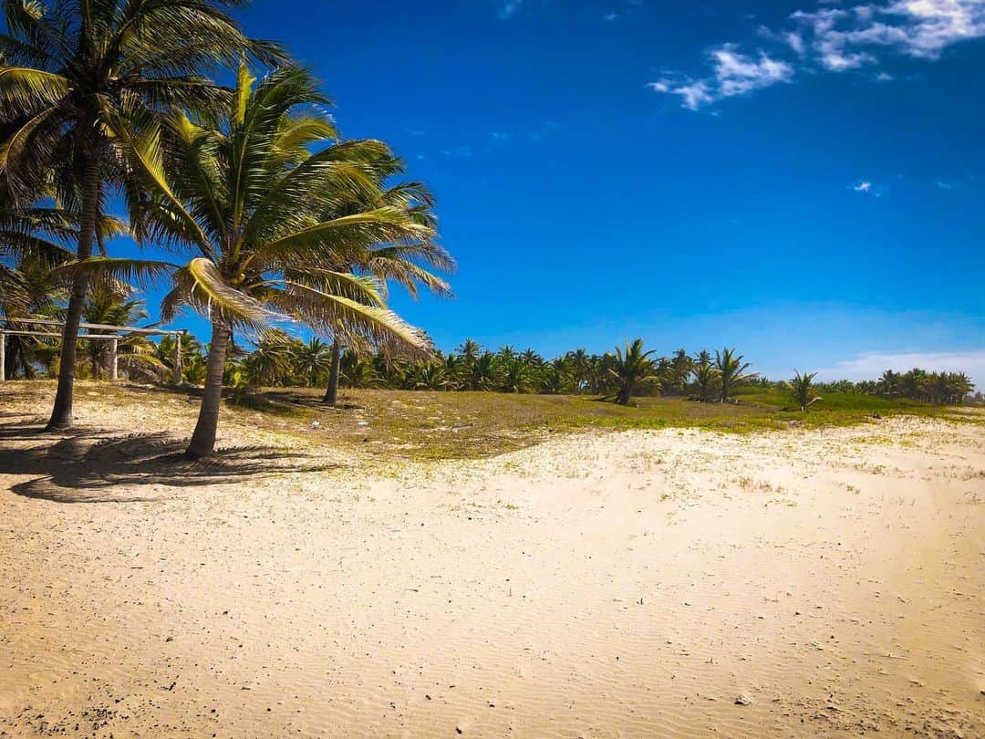 ショーン・ラビットさんのインスタグラム写真 - (ショーン・ラビットInstagram)「Who’d love to lay under that palm tree and listen to the waves?🏝 誰がヤシの木の下に横たわり、海の波に耳を傾けたいですか？ 📍Stone Island Mazatlan, Mexico | Feb 2019 . . . . . . . #figureskating  #travelphotography  #training  #foodie  #fitfam  #travel  #beachvibes  #photography  #ootd  #model  #japan  #throwbackthursday #wanderlust #フィギュアスケート  #トレーニング  #筋肉  #筋トレ  #コロナに負けるな  #イケメン  #ファッション  #カメラ好きな人と繋がりたい  #コーディネート  #おしゃれさんと繋がりたい  #今日の服  #いいね返し  #インスタ映え  #可愛い  #海外旅行 #おはよう #メキシコ」5月15日 7時00分 - seanrabbitt