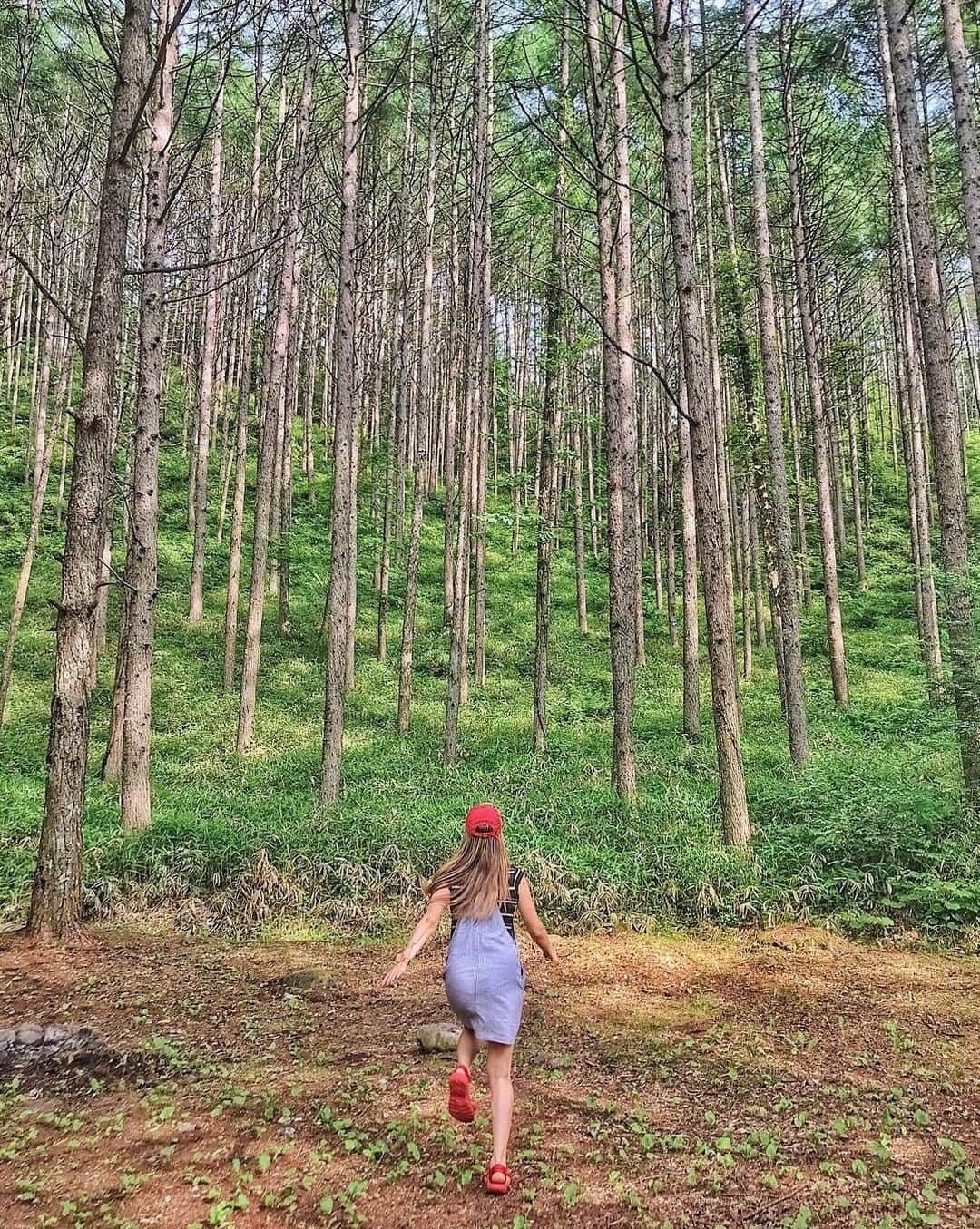 ?長野県 観光 公式インスタグラム さんのインスタグラム写真 - (?長野県 観光 公式インスタグラム Instagram)「//﻿ Photo by @tatty511﻿ ﻿ Bathing in the Forest﻿ (Hara Village)﻿ ﻿ Beautiful pine forests extend along the base of the Yatsugatake mountains in Hara Village.﻿ ﻿ Bathing in the cool breeze of the woods, sweet with the scent of budding flowers, is a great way to revitalize and relax.﻿ ﻿ ==========﻿ ﻿ 気持ちを整えるリトリート﻿ 「森の癒しの力」﻿ ＠原村﻿ ﻿ 「原村」に広がる﻿ 八ヶ岳の美しいカラマツの森🍃﻿ ﻿ 新緑の甘い芽ぶきの香りと	﻿ 清涼な空気に満ちた森は﻿ まさに気持ちを整えるリトリートです✨﻿ ﻿ ーーーーーーーー ﻿ ﻿ Location /Hara Village,  Nagano, Japan ﻿ ﻿ #おうちでながの﻿ #おうちで過ごそう﻿ #長野のいいところ﻿ #原村﻿」5月15日 17時00分 - nagano_japan