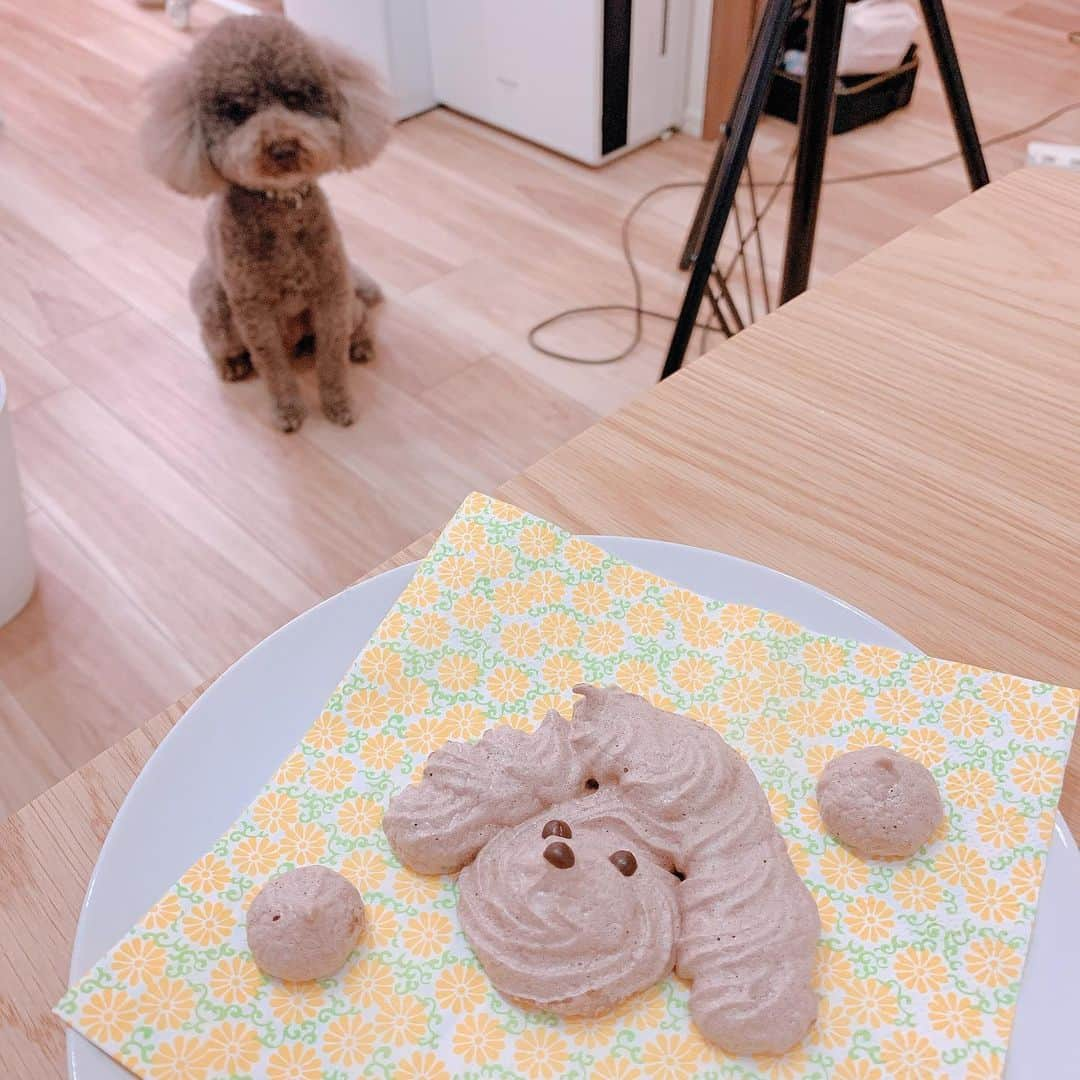 くまみきさんのインスタグラム写真 - (くまみきInstagram)「昨日の動画で作ったもじゃクッキー🐶どう？似てる？  #わんわんメレンゲクッキー #メレンゲクッキー #プードルクッキー #おうちカフェ #おうち時間 #youtube」5月15日 17時09分 - kumamiki