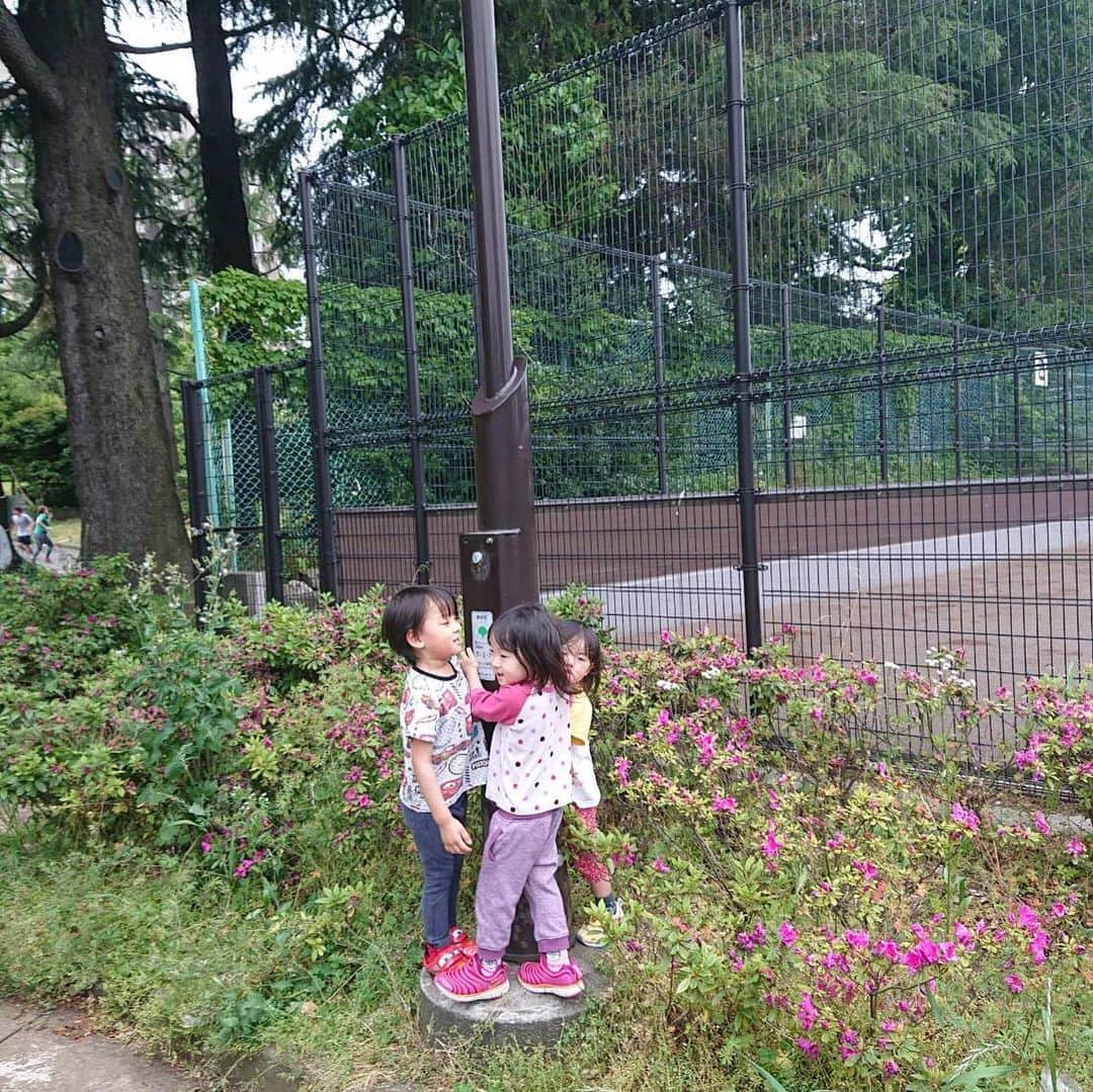 高村凛のインスタグラム：「双子ちゃんと、末っ子えれちゃん😊  ツツジが綺麗に咲いてます💓💐 #お散歩」