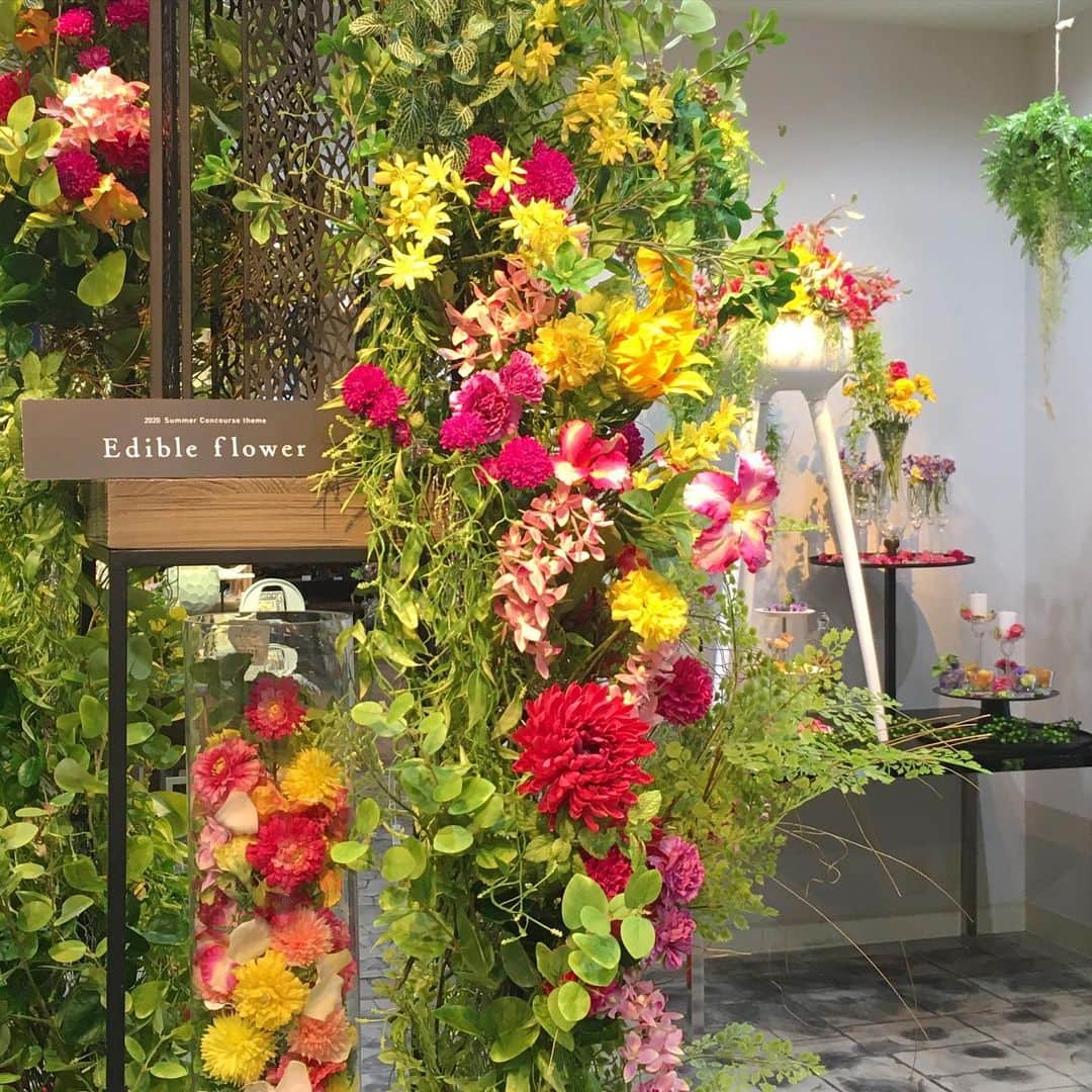 横浜ディスプレイミュージアムのインスタグラム：「【業務会員様限定 店舗営業再開のお知らせ】 横浜ディスプレイミュージアムでは、緊急事態宣言の発令による自粛要請に伴い、お客様ならびに従業員の安全を考慮し店舗の営業を自粛させていただいておりましたが、ブルー会員様、ホワイト会員様限定で店舗営業時間を短縮し、営業を再開させていただいております。  尚、お客様ならびに従業員の安全確保のため、下記のような対応とさせていただきます。 ご了承くださいますようお願い申し上げます。 【店舗営業時間】 ・現在～当面の間 ・10：00-16：30までの営業となります（通常：10：00-17：30） ・土日祝日はお休みとなります ※ブルー会員様・ホワイト会員様のみ対象となります ※一般の方、メール会員様、LINE会員様はご入店できませんのでご注意ください ※送迎バスはこの期間中ございません。ご了承ください  その他詳細は横浜ディスプレイHPをご確認ください。」