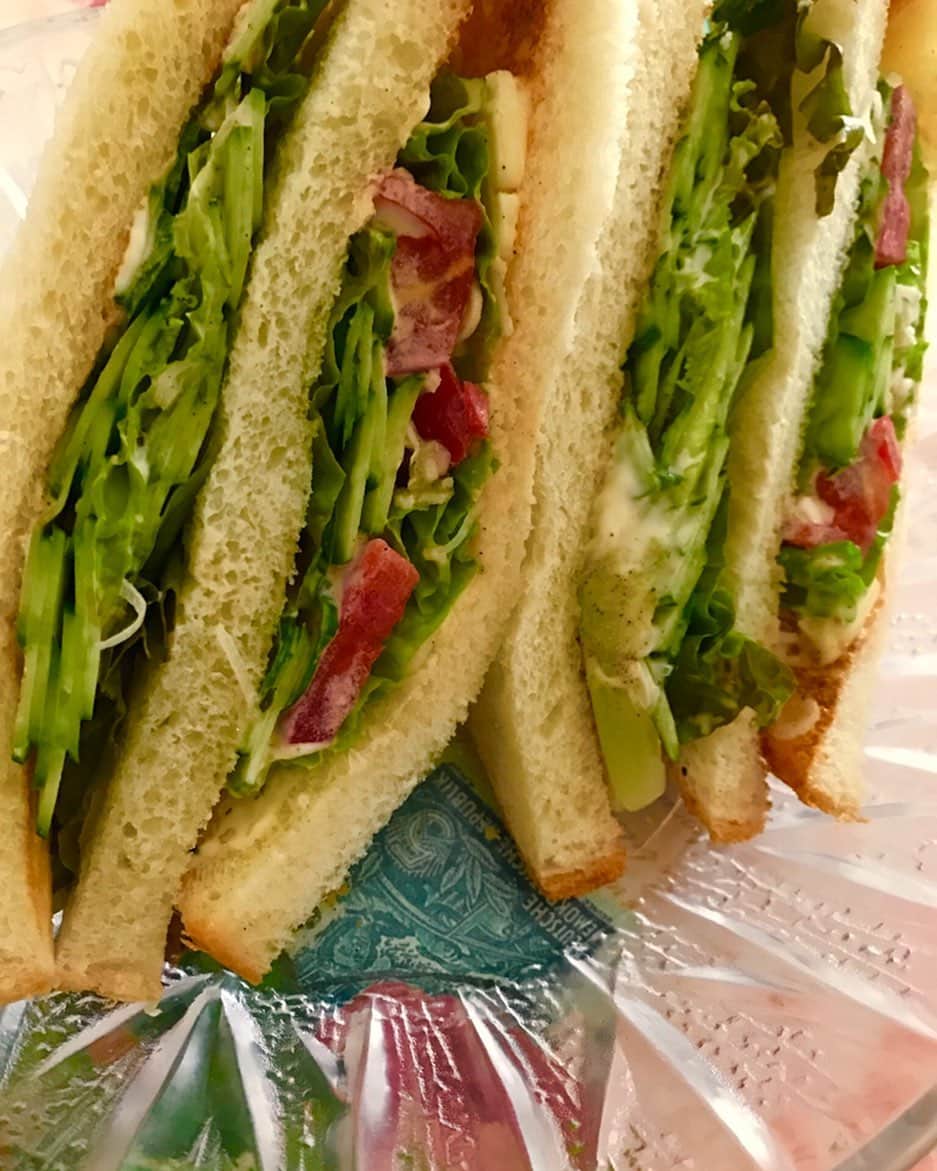 吉山りささんのインスタグラム写真 - (吉山りさInstagram)「野菜たっぷりサンドイッチ🥪 ✨ 朝はパン💘  昼夜は麺💕（笑） ✨ お米は美味しーの頂いた時と お寿司の時しか食べないかも✨🍣 ✨ #モーニング #自家製 #サンドイッチ #サンドウィッチ #cucumber #tomato  #きゅうり #トマト #sandwich #野菜 #vegetables #テキトー #マヨネーズ #butter #コールスロー も好きだけど #キャベツ が高い🥺 #パン は焼いてから🤗 #コーヒー と共に☕️ 🥒は塩もみして水分を少し出して☺️ #吉山りさ #簡単レシピ #朝ごはん #おうちごはん #mayonnaise マヨチュチュはしない😎 #model #ランチョンマット 食べ終わったらすぐ #lunch の楽しみ考える😍 #美容 #健康 #healthy #食欲の夏 🕺🏽🕺🏽🕺🏽」5月15日 9時58分 - oreorerisa