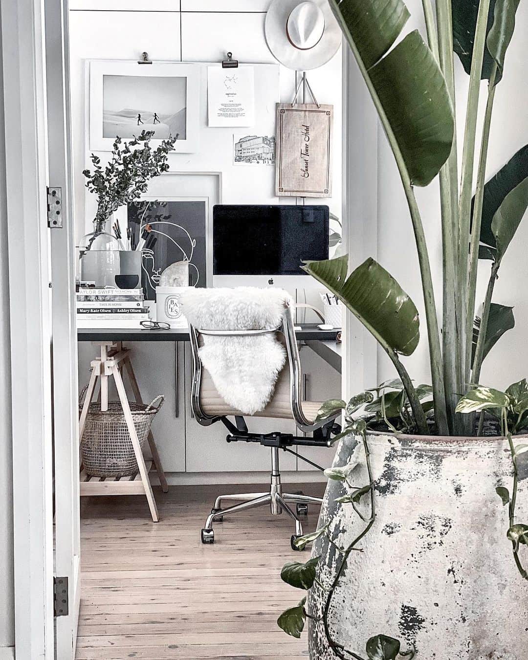 サマンサウィルスのインスタグラム：「Rainy outside. Coastal vibes inside. WFH space just got a grand entrance with this @thebalconygarden cement pot. Bring the outdoors, in. x」
