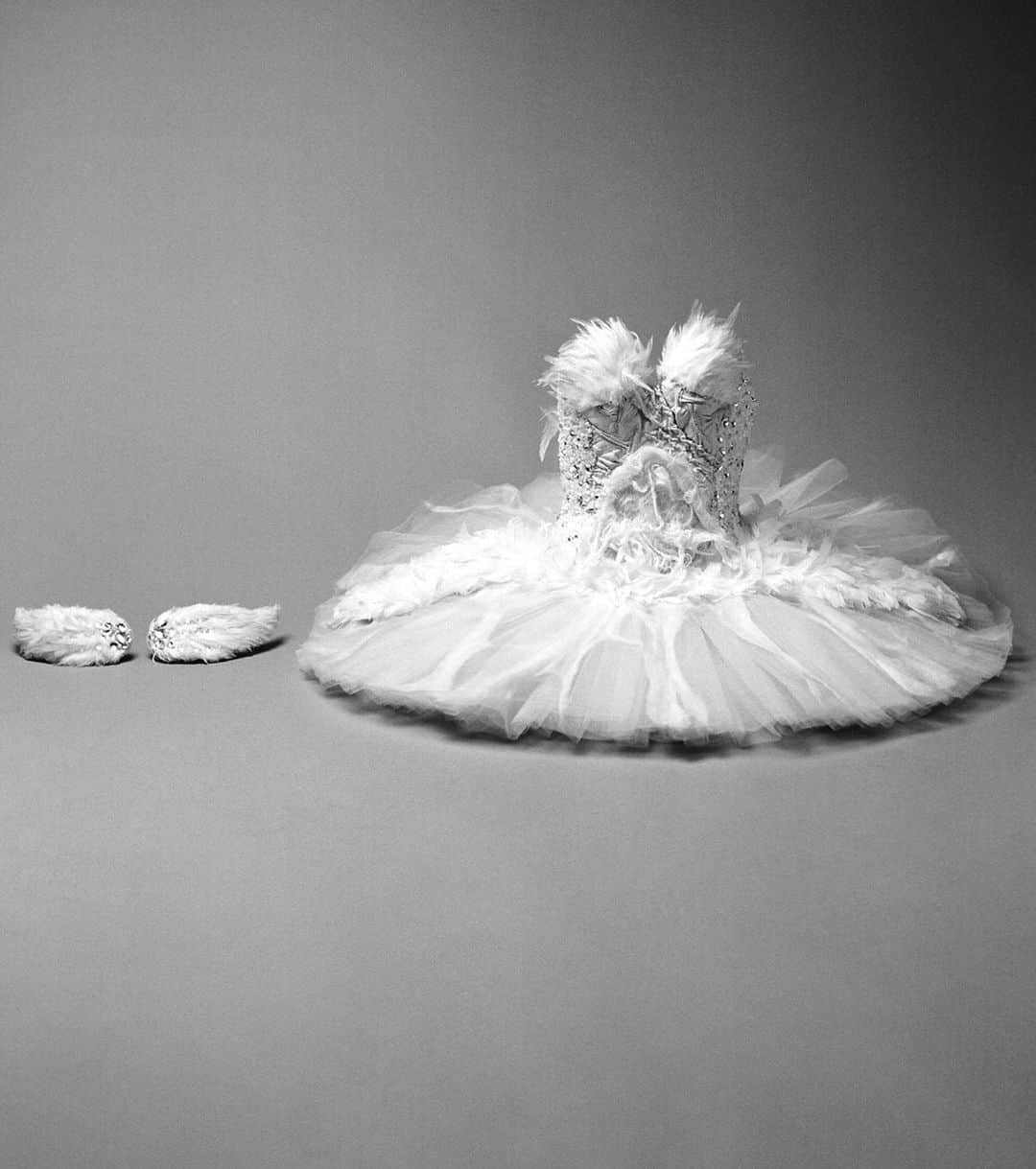 ロダルテさんのインスタグラム写真 - (ロダルテInstagram)「#TBT: Still life of the Black Swan Odette tutu worn by #NataliePortman in Black Swan (designed by @kateandlauramulleavy). Ph: Autumn de Wilde. #rodarte #blackswan #costumedesign #ballet #tutu #swanlake」5月15日 11時39分 - rodarte