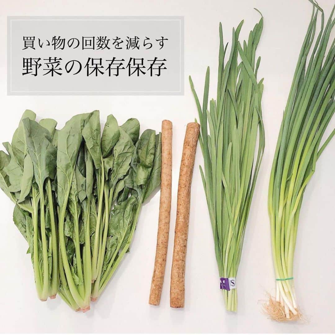 4yuuu!さんのインスタグラム写真 - (4yuuu!Instagram)「. 知っておくと役立つ👆 『野菜🥬🍅の保存方法✨』をご紹介📚 . なかなか買い物にも行きづらい今、 まとめ買いをしても 野菜の持ちが気になるもの💦 . そんな時には、 それぞれの野菜の性質に合った保存方法をすれば ストック食材としても 役立ってくれますよ😄💕 . @t.a_kurashi . #4yuuu #家事 #インテリア #生活雑貨 #洗面所 #時短家事  #家事動線 #時短家事 #収納  #時短 #収納術  #生活 #ていねいな暮らし #丁寧な生活 #丁寧な暮らし #買い物#スーパー#ゴボウ#袋詰め#ワーママ#食料品#買い物バッグ #ワーママ#子供のいる暮らし #子どものいる暮らし #ストック買い #備蓄#ストックおかず #生活の知恵#裏技#裏ワザ#野菜のある生活」5月15日 11時59分 - 4yuuu_com