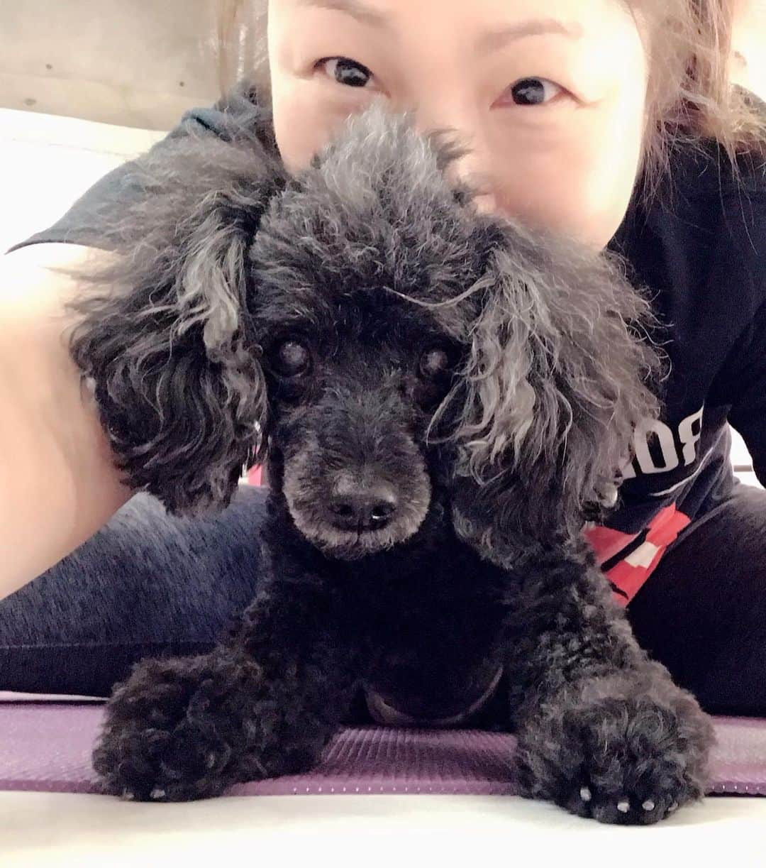 井上貴子さんのインスタグラム写真 - (井上貴子Instagram)「やることが 道場に行ってトレーニングと お散歩しかないので  写真もあまり変わりばえないね。  リングで ヨガやストレッチしてると  ジャマをしにくる！ べにひお軍団（2人だけど）  Happyで^ ^  医療従事者 医療に携わる全ての皆様 介護施設 配送業者 スーパーの皆様 ゴミ回収業の方々  コロナ問題に携わる皆様。  自粛して下さってる皆様。  ありがとうございます。  #井上貴子  #LLPWX #女子プロレス #紅緒と柊音 #トイプードル部　 #LLPWX道場 #ヨガ #イチナナ配信明日16日20時 #おうちですごそう #STOPCOVID19 #stayhome」5月15日 11時51分 - takaco_inoue