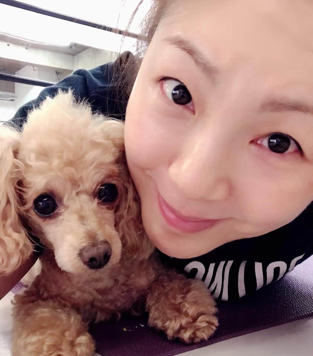 井上貴子のインスタグラム：「やることが 道場に行ってトレーニングと お散歩しかないので  写真もあまり変わりばえないね。  リングで ヨガやストレッチしてると  ジャマをしにくる！ べにひお軍団（2人だけど）  Happyで^ ^  医療従事者 医療に携わる全ての皆様 介護施設 配送業者 スーパーの皆様 ゴミ回収業の方々  コロナ問題に携わる皆様。  自粛して下さってる皆様。  ありがとうございます。  #井上貴子  #LLPWX #女子プロレス #紅緒と柊音 #トイプードル部　 #LLPWX道場 #ヨガ #イチナナ配信明日16日20時 #おうちですごそう #STOPCOVID19 #stayhome」