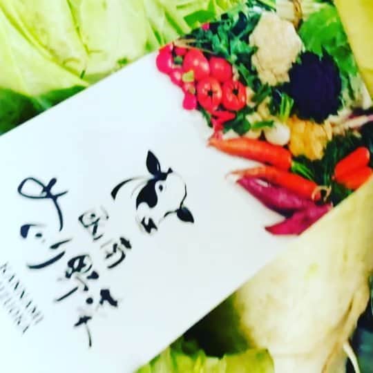 小錦千絵（TAUPOU）のグルメインスタ