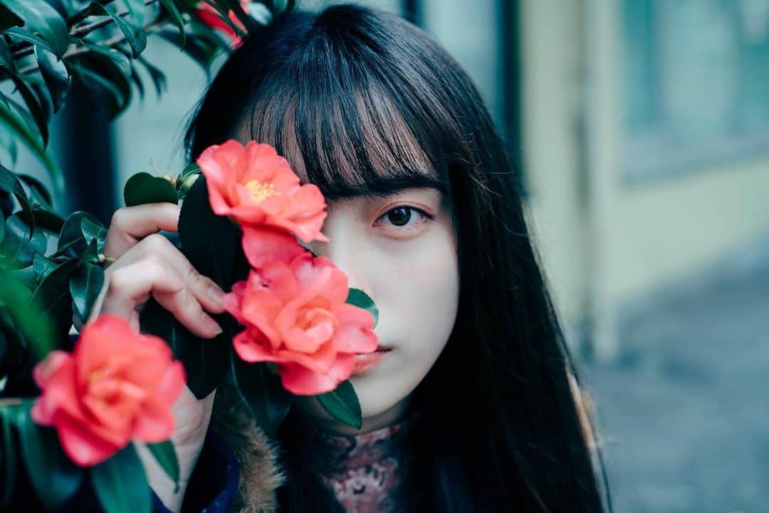 haraoのインスタグラム：「華咲く刻 - - - #GPW_members_only #ig_phos #indy_photolife #screen_archive #Rox_Captures #jp_mood #team_jp_ #IGersJP #RECO_ig #Lovers_Nippon_Portrait #art_of_japan_ #japan_daytime_view #daily_photo_jpn #bestjapanpics #tokyocameraclub #jp_portrait部  #スクリーンに恋して #写真が好きな人と繋がりたい #被写体募集」