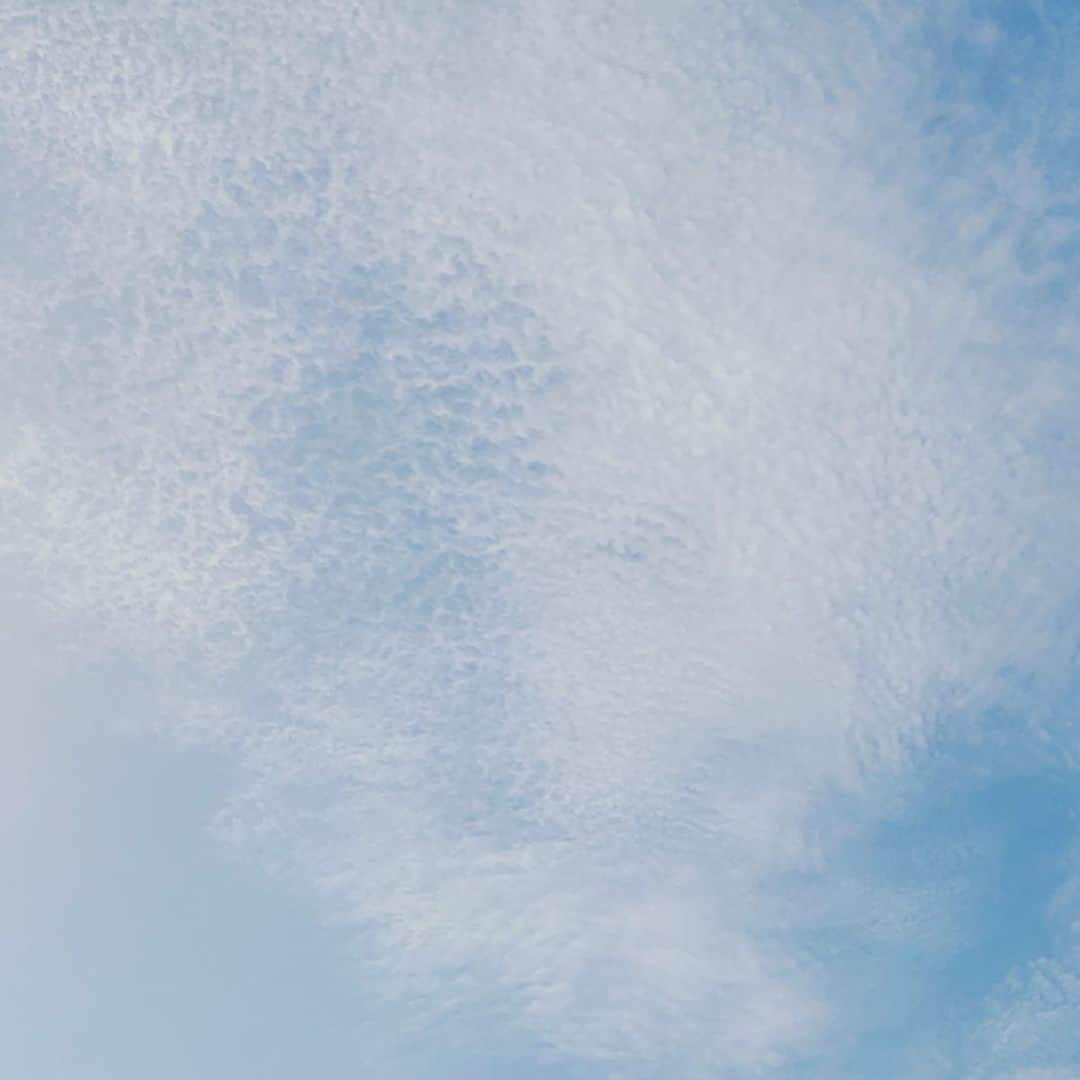 石榑亜紀子さんのインスタグラム写真 - (石榑亜紀子Instagram)「今朝見た空 細かい巻積雲いっぱいで 見惚れました☺️✨ 西から下り坂ですが 関東はきょういっぱい 天気の崩れはなさそうです☁️ #巻積雲 #雲 #下り坂 一部　#蜂の巣状巻積雲 かな　#きょうの空 #うろこ雲 #instasky #instaclouds #sky #空 #空好きな人と繋がりたい #走る気象予報士 #アスリートフードマイスター2級」5月15日 13時19分 - guregure_46