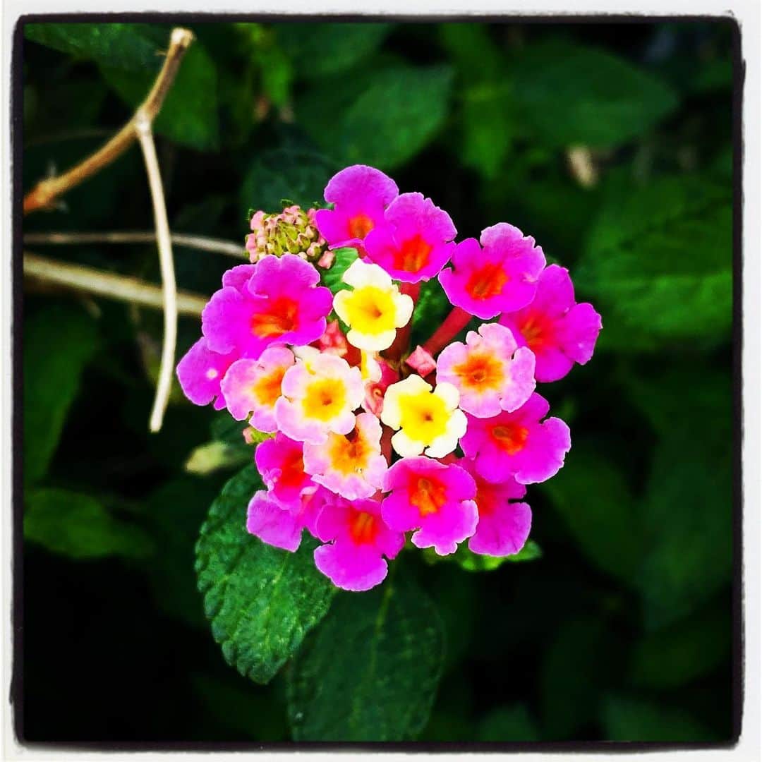 浅岡雄也のグルメインスタ