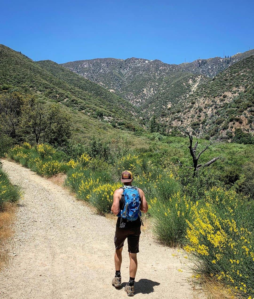 サッシャ・ロイズさんのインスタグラム写真 - (サッシャ・ロイズInstagram)「‘Twas a good day #hikecalifornia」5月15日 15時36分 - mrsasharoiz