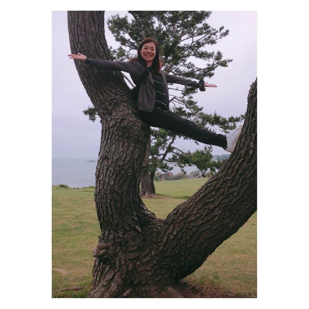 ヨーコさんのインスタグラム写真 - (ヨーコInstagram)「ハイポーズ。 ・ ・ ・ 5年前の種差海岸にて。  松の木さん、登ってごめんなさいね。  #mymemories  #tripmemories  #aomori #tanesashi  #treeclimbing #treeclimber  #木登り #木登り女子  #木登り好き #松の木 #松 #東北 #青森 #種差海岸  #東北旅行 #旅行 #旅 #旅行好きな人と繋がりたい  #旅の思い出 #trip #travel #summer #japanesegirl  #photo #photooftheday #photography  #niceshot #nicepose #niceposition  #両手広げポーズ」5月16日 1時52分 - y0k0_1108