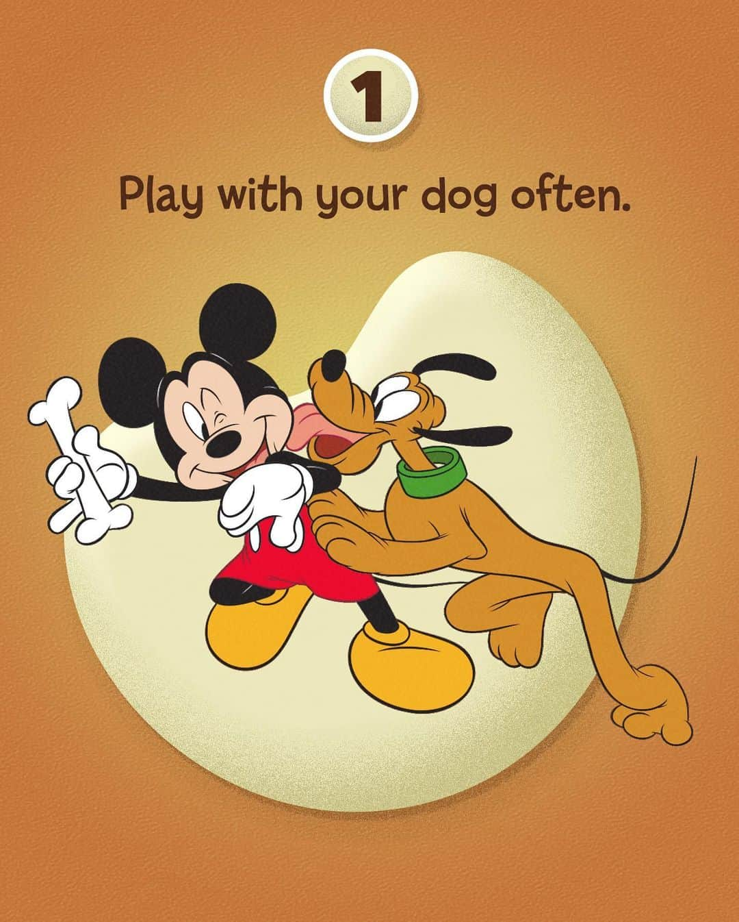 ミッキーマウスさんのインスタグラム写真 - (ミッキーマウスInstagram)「👉 Swipe to get some pointers from Mickey’s furry pal Pluto! 🐶 For more tips and canine cuteness, watch It’s A Dog’s Life, a #DisneyPlus Original Series, Now Streaming.」5月16日 2時00分 - mickeymouse