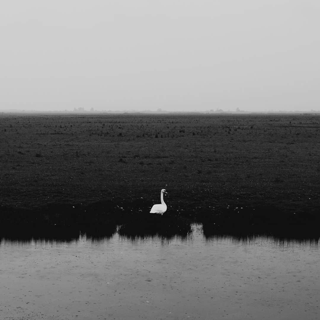 Putri Anindyaのインスタグラム：「lone swan // wallowa lake monster - Sufjan Stevens 🎶 ⁣⁣ ⁣⁣ this image is on my top 10 favorite pictures that I’ve ever taken. Possibly because I adore nature gradation like this and it reminds me of a minimalist painting that I’ve seen long time ago. For me it’s quite difficult to take a minimal picture so when i got one i’m very happy. ⁣⁣ ⁣⁣ The question is, what do you feel from this photograph?」