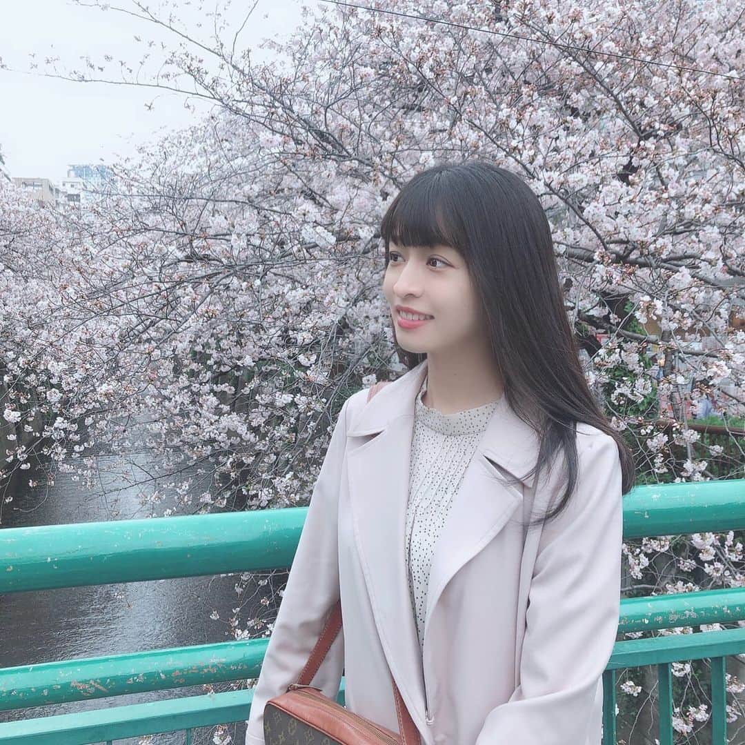 四島早紀さんのインスタグラム写真 - (四島早紀Instagram)「今年の桜🌸との写真でした。 Instagram お久しぶりです！！！！ . あっという間にもう夏だね〜☺️🌸 もう5月半ば…🐚🌺 . みんなコロナに耐えようね🦠 油断は禁物だよ´；ω；` . . #桜 #桜🌸 #中目黒 #東京  #久々 #投稿 #Followme #いいね #🌸 #💗」5月15日 19時15分 - saki_shishima
