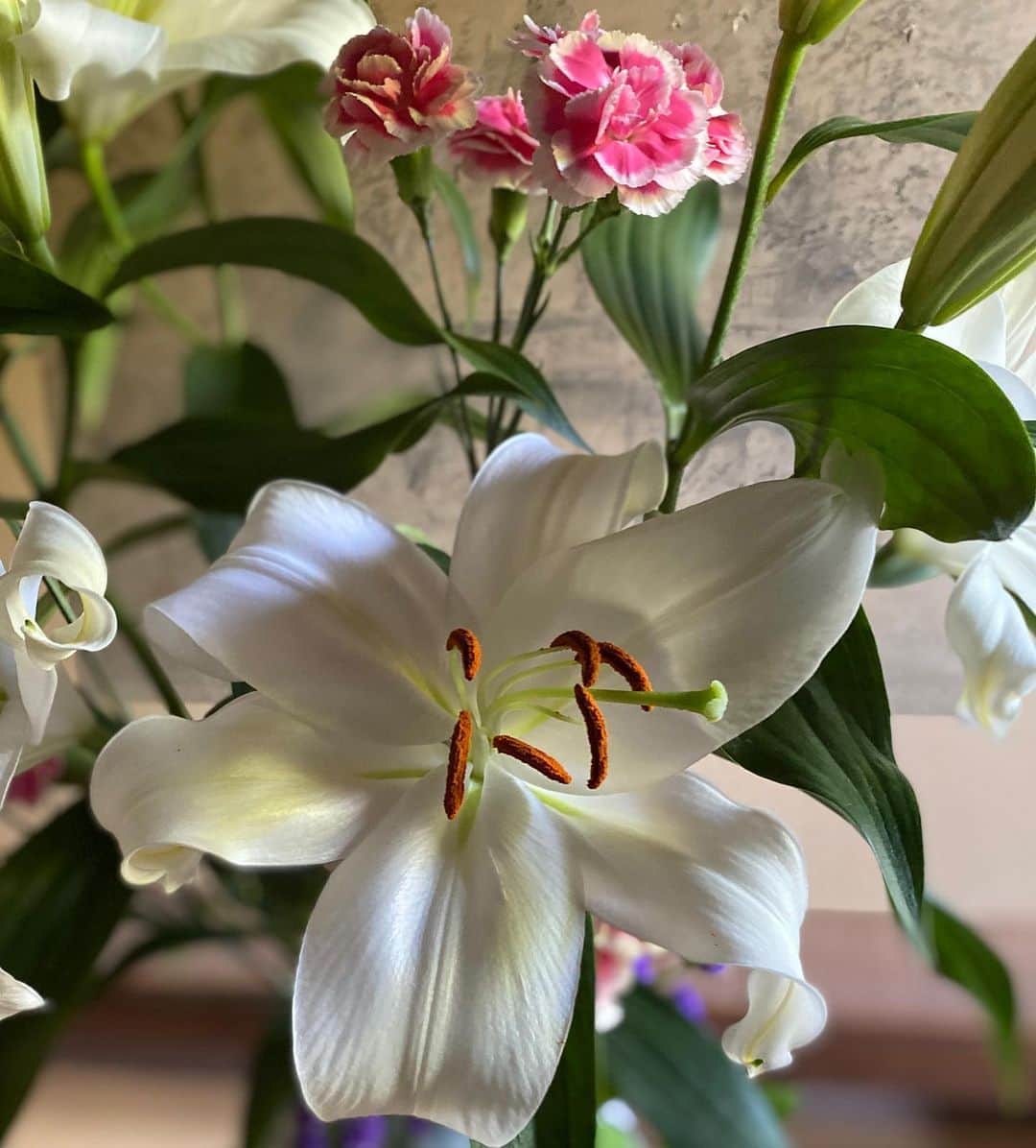 松田岳さんのインスタグラム写真 - (松田岳Instagram)「flower arrangement  #花#flower  #生花#arrangement  #💐」5月15日 19時10分 - matsuda.gaku
