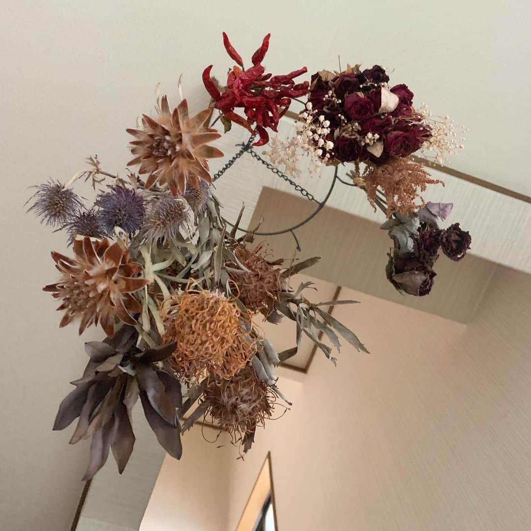 早坂風海さんのインスタグラム写真 - (早坂風海Instagram)「今まで頂いたお花はドライフラワーに出来るものは全部して、玄関や、私の部屋に飾ってます😌﻿ ﻿ ﻿ 可愛い💐🌶﻿ ﻿ ﻿ 花に例えたら、私は何っぽいんだろ🤔﻿ ﻿ ﻿ ﻿ #早坂風海 #カザスタグラム」5月15日 19時44分 - kazami42_official