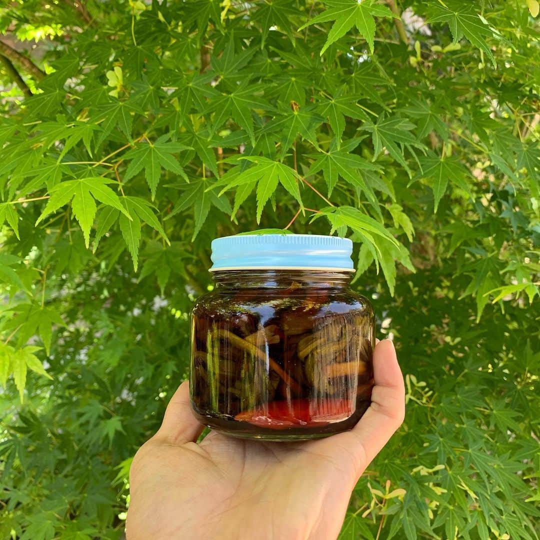 春日潤也のグルメインスタ